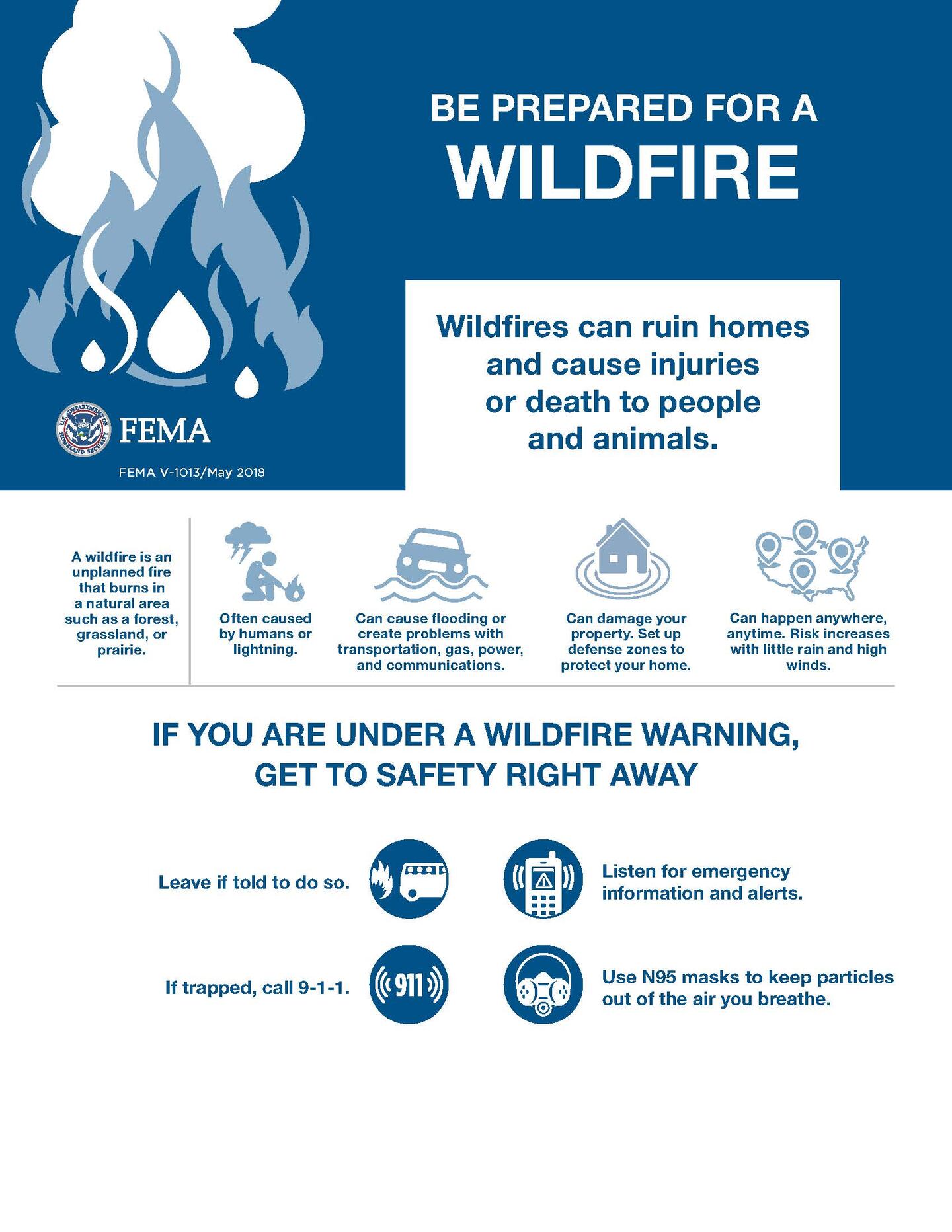 Wildlife preparations infographic